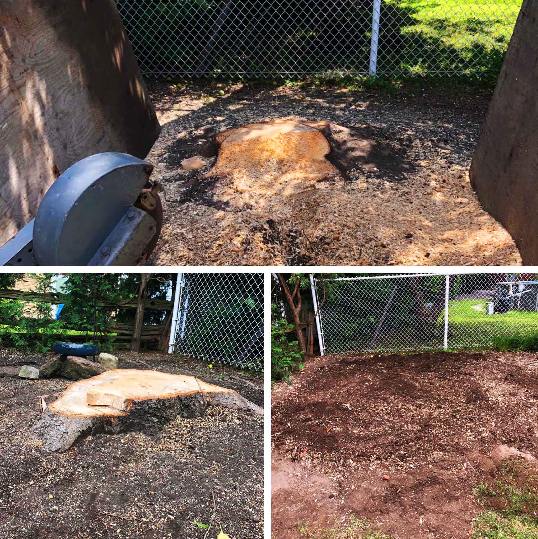 Stump removal Montérégie